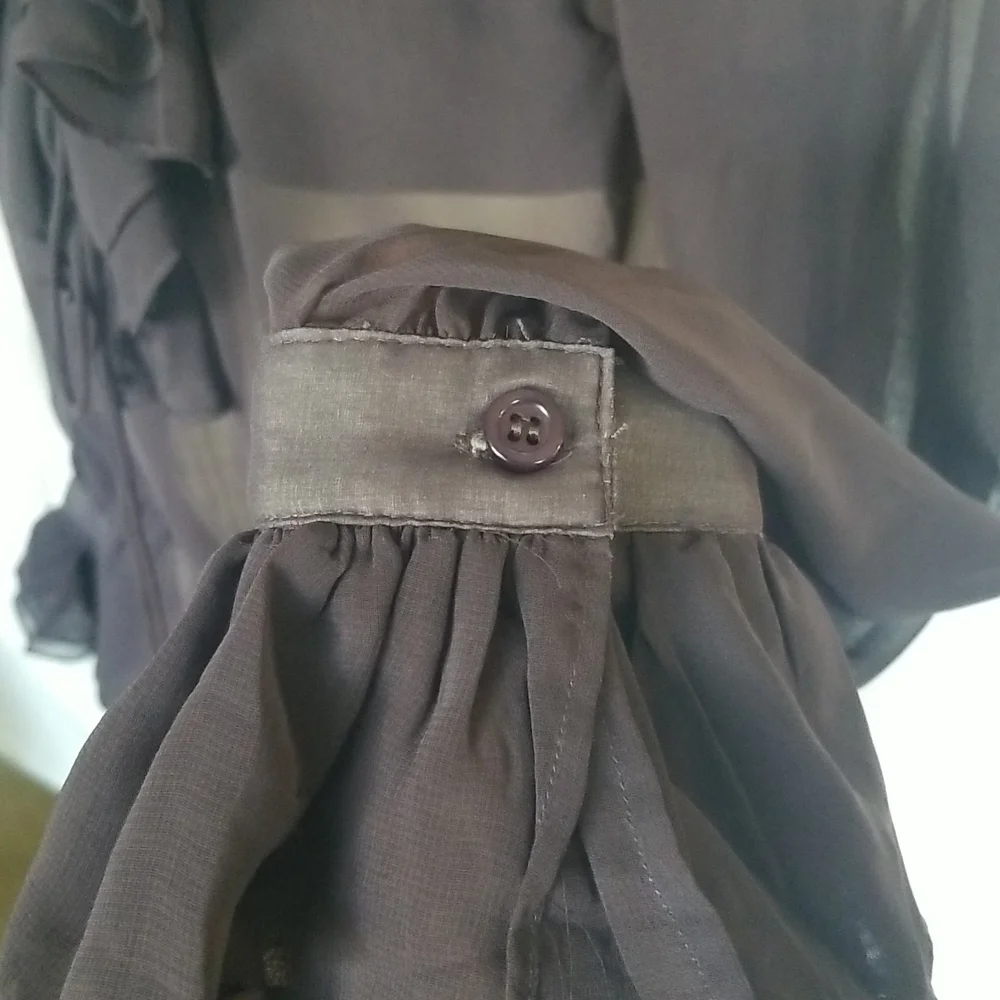 Sheer Ruffle Tie-Neck Blouse - Picture 3 of 9
